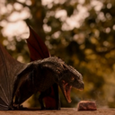 sisterofdragons avatar