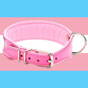 sisterofhounds avatar