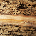 sitehacefeliz3 avatar