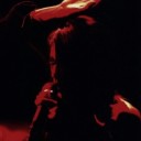 siteofscaffold avatar