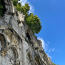 sittingonthesill avatar