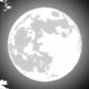 situationsheep avatar