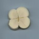 sixcoursemeal2 avatar