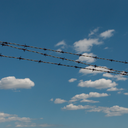 sixhundredandfive avatar