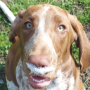 sixottersinatrenchcoat avatar