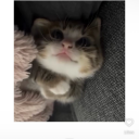 sixteenbucketsofwater-and-a-pen avatar