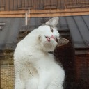 sixwheelriker avatar