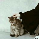 siyahgamzeli-blog avatar