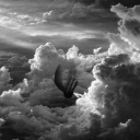 siyahimsibirgenc avatar