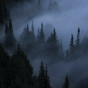 siyahinicindekayip avatar