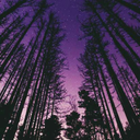 siyahlarinicindekipembe avatar