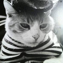 sizofrenikkedi avatar