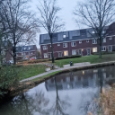 sizzlingalmondweaselgoop avatar