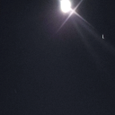 sizzlingbreadturtle avatar