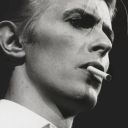 sizzlingsharkqueen avatar