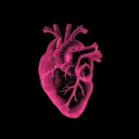 sizzlingtrashmagazine2 avatar