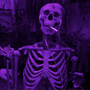 sk1n-and-bones avatar