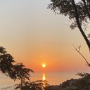 sk1n-n-b0n3sss avatar