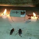 sk1nnyth0t666 avatar