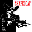 skapegoat256 avatar