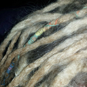 skarawksmichelle avatar