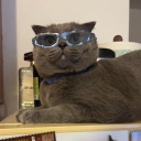 skate-of--mind avatar