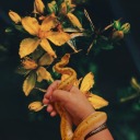 skatergirll1998 avatar