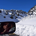 skdjhfkjsghdkj avatar