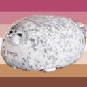 skeetskeetwithdaparakeet avatar