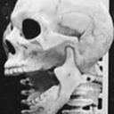 skelaide-blog avatar