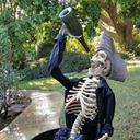 skeletal-brews avatar