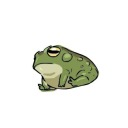 skeleton-hoarder avatar