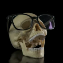 skeleton-house avatar