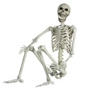 skeleton-offical avatar