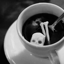 skeleton-teacup avatar