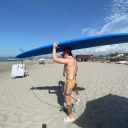 skeletoncactus avatar