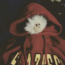 skeletonmiser avatar