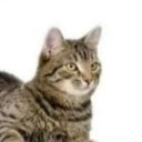 skeletons-fingers avatar