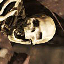 skeletons-of-thecommonwealth avatar