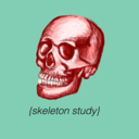 skeletonstudy avatar