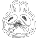 skeletonswordfights avatar