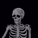 skeletonwrite avatar