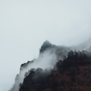 skeletonymous avatar