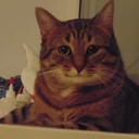 skeltonjunction avatar