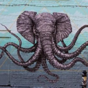 skepticalsquids avatar