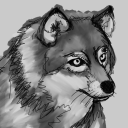 sketch77 avatar