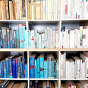 sketchandstudy avatar