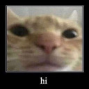 sketchbookist avatar