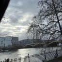 sketcheysalmon avatar