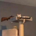 sketchy-goblin avatar